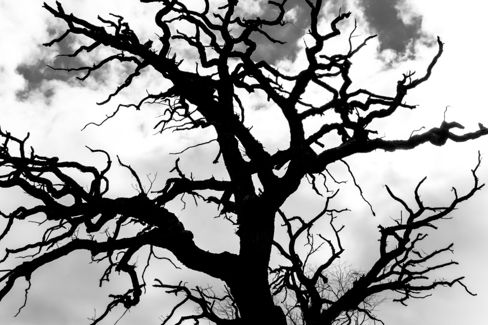 (Photo: Lukas Keapproth)