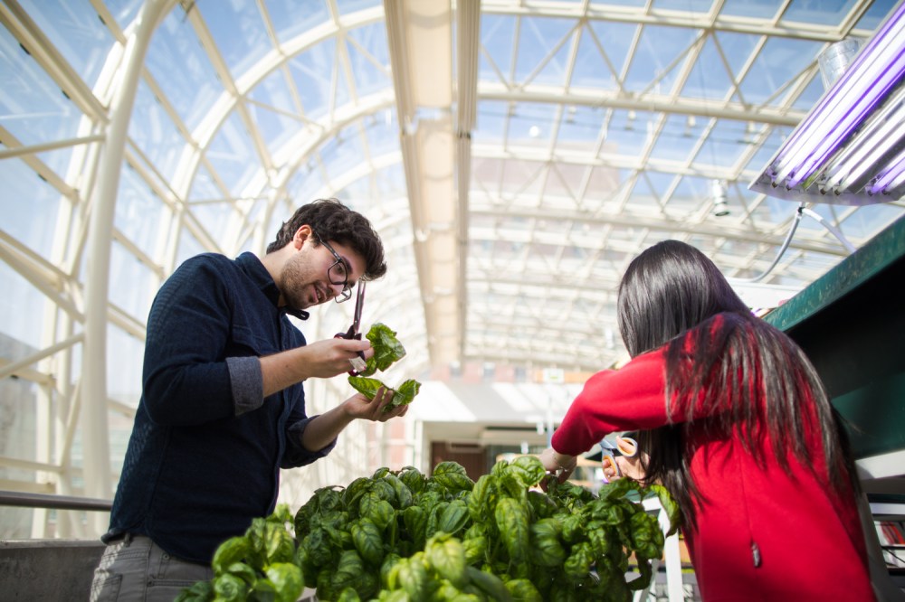 photos-of-the-year-2018-003