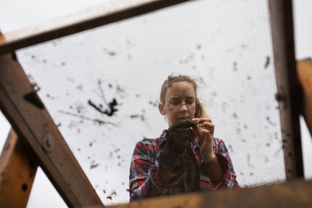 photos-of-the-year-2018-011