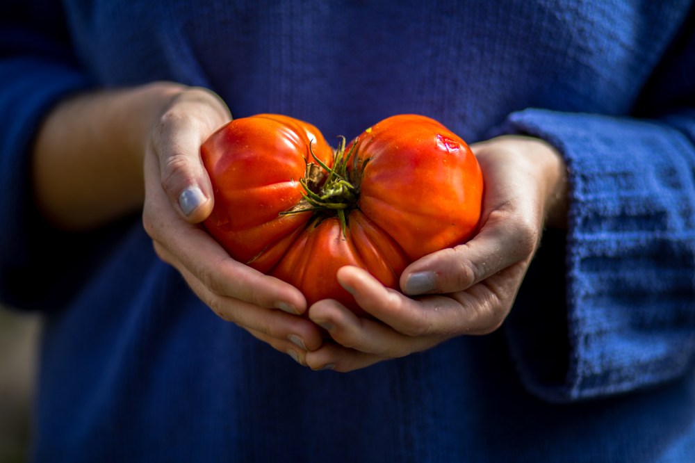 photos-of-the-year-2018-017