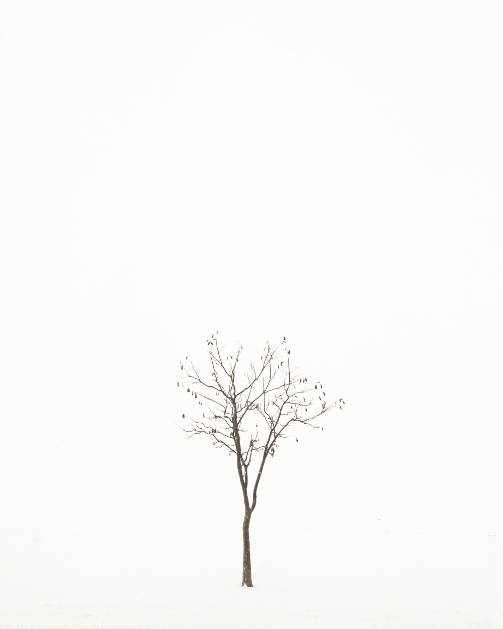 IMG_20190218_083645_623